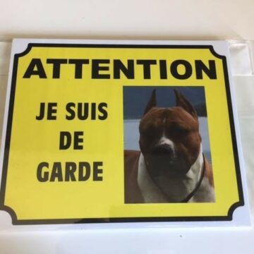 Plaque préventive de sécurité animaux, American staff terrier "Attention je monte la garde" - DAS Système